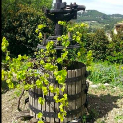 Domaine-de-la-Ribotte