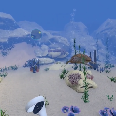 Expérience VR sous-marine avec une tortue pour une formation immersive culturelle